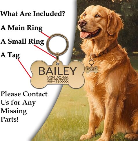 Stainless Steel Dog Tags Personalized, Pet Tag Personalized, Cat Tag Personalized, Pet ID Tags, Engraved on Both Sides, Bone, Heart and Round-Shaped (Heart, Small) in Saudi Arabia