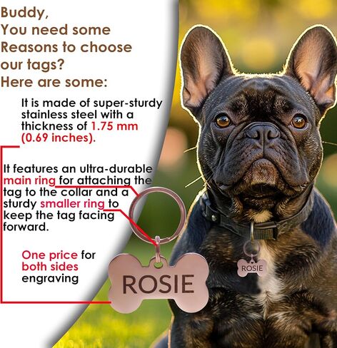 Stainless Steel Dog Tags Personalized, Pet Tag Personalized, Cat Tag Personalized, Pet ID Tags, Engraved on Both Sides, Bone, Heart and Round-Shaped (Heart, Small) in Saudi Arabia