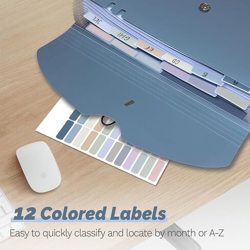 13 Pocket Accordian File Organizer, Expanding File Folder with Tabs, Monthly Accordion Folder A4 Letter Size Paper Document Receipt Holder for School Office Supplies, Haze Blue in Saudi Arabia