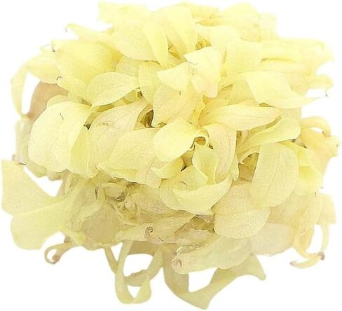 Anubias White Rose - Live Aquarium Plant - Bare Root - أوراق ملواة أبيض نادرة - صيانة هاردي وانخفاضها لـ Aquascaping - 3 عبوة in Kuwait