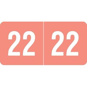 Doctor Stuff - 2022 Year Stickers, Compatible with Smead ETS Series, Pink Colored Year Labels for End Tab File Folders, 250/Pack, 1 Package, 1/2" x 1" - Small Labels