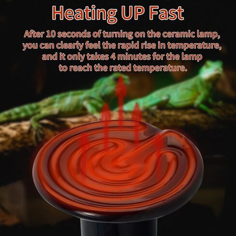 Reptile Heat Lamp 100W Combo Pack, Day and Night Basking Spot Bulb for Amphibian Includes Black Heat Lamp UVA Daylight Heating Light in Saudi Arabia