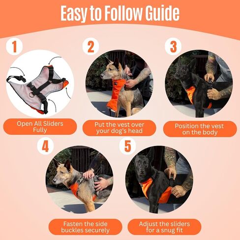 YAP Techno® Anti Pull Harness ، قابلة للتعديل 4 اتجاهات ، تسخير سترة الكلب مع مقبض التحكم السهل ، لا يوجد خنق الكلاب لجميع السلالات ؛ 90-175 رطلا (رويال أرجواني ، كبير جدا) in Saudi Arabia