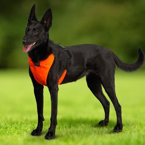 YAP Techno® Anti Pull Harness ، قابلة للتعديل 4 اتجاهات ، تسخير سترة الكلب مع مقبض التحكم السهل ، لا يوجد خنق الكلاب لجميع السلالات ؛ 90-175 رطلا (رويال أرجواني ، كبير جدا) in Saudi Arabia