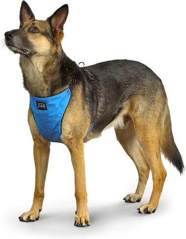 YAP Techno® Anti Pull Harness ، قابلة للتعديل 4 اتجاهات ، تسخير سترة الكلب مع مقبض التحكم السهل ، لا يوجد خنق الكلاب لجميع السلالات ؛ 90-175 رطلا (رويال أرجواني ، كبير جدا) in Saudi Arabia
