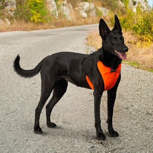 YAP Techno® Anti Pull Harness ، قابلة للتعديل 4 اتجاهات ، تسخير سترة الكلب مع مقبض التحكم السهل ، لا يوجد خنق الكلاب لجميع السلالات ؛ 90-175 رطلا (رويال أرجواني ، كبير جدا) in Saudi Arabia