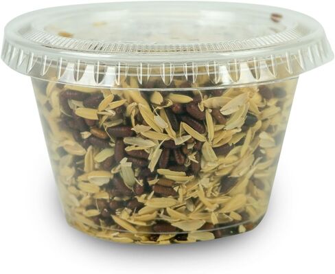 Josh's Frogs House Fly Pupae (50 Count) in Saudi Arabia