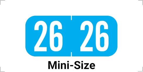 ملصقات Mini 2026 Year ، ملصقات Doctor Stuff 2026 ، ملصقات بالألوان الأزرق الفاتح ، علامة تبويب 1287 ، ملصقات السنة التي صنعت لمجلدات ملفات تبويب النهاية ، 500 ملصقات/لفة في صندوق موزع ، 1/2 "× 1-1/8" in Kuwait