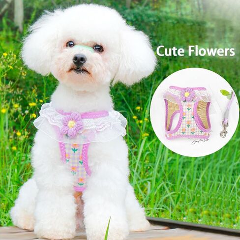 Cat Harness Collar and Leash Set, Sweet Lace Floral Kitten Collar, Escape Proof Puppy Chest Harness, Adjustable Cute Harness Leash Set for Cat Puppy Dog Outdoor Walking (Pink, S) in Kuwait