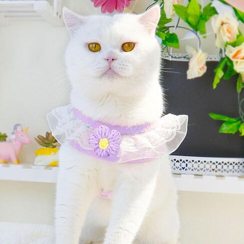 Cat Harness Collar and Leash Set, Sweet Lace Floral Kitten Collar, Escape Proof Puppy Chest Harness, Adjustable Cute Harness Leash Set for Cat Puppy Dog Outdoor Walking (Pink, S) in Kuwait