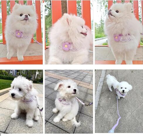 Cat Harness Collar and Leash Set, Sweet Lace Floral Kitten Collar, Escape Proof Puppy Chest Harness, Adjustable Cute Harness Leash Set for Cat Puppy Dog Outdoor Walking (Pink, S) in Kuwait