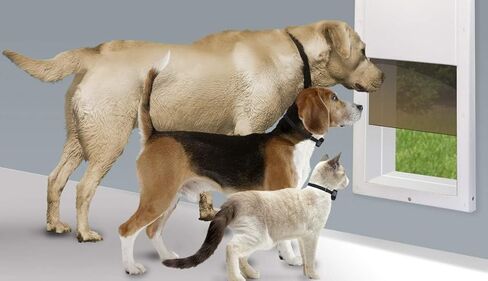 High Tech Pet Fully Automatic Pet Door for Wall and Door Installation - (PX-1W, Medium Wall Mount) in Kuwait