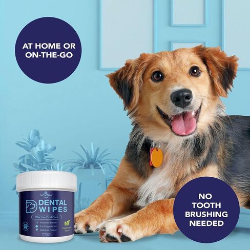 NOVEHA Pets Dental Finger Wipes for Dogs & Cats | Freshens Breath, Reduces Plaque | Healthier Gums | Clean Teeth No Toothbrush | Vet Recommended Effective Natural Oral Care (50 pcs, Mint) in Saudi Arabia