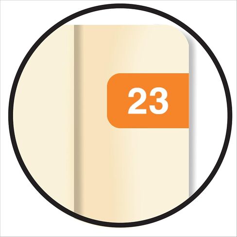 2025 Mini Year Labels, Doctor Stuff 2025 Chart Stickers, Black Color Coded, Ames Small Style, USA Made Year Stickers for End Tab File Folders, 500/Roll, 1 Roll, 1/2" x 1-1/2" in Saudi Arabia