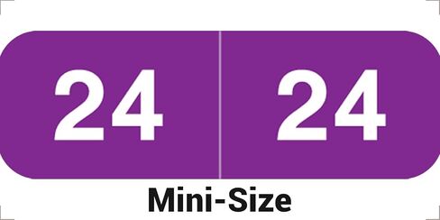 2025 Mini Year Labels, Doctor Stuff 2025 Chart Stickers, Black Color Coded, Ames Small Style, USA Made Year Stickers for End Tab File Folders, 500/Roll, 1 Roll, 1/2" x 1-1/2" in Saudi Arabia
