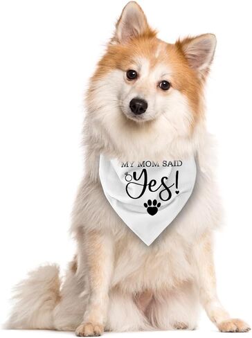 My Mom Said Yes Dog Bandana - Baby Blue, Wedding, Engagement, Pet Triangle Scarf for Small Medium Large Dogs - Gift for Dog Lover (E43) in Saudi Arabia