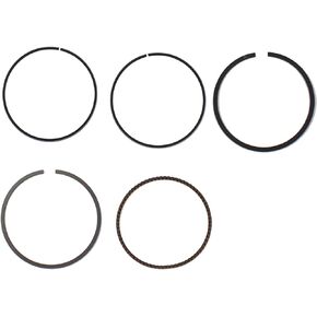 Piston Rings Replacement for Honda Fourtrax 300 TRX300EX Standard Bore 74mm