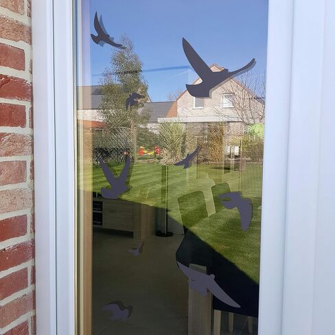Anti-Collision Stickers to Prevent Bird Strikes on Window Glass - Set of 17 Silhouettes - Color: Translucent/Dusted - Window Clings Decals - Birds Protection Prevention Deflectors Reflectors in Kuwait