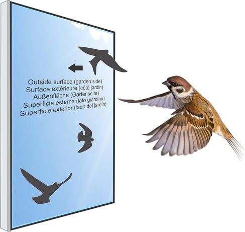 Anti-Collision Stickers to Prevent Bird Strikes on Window Glass - Set of 17 Silhouettes - Color: Translucent/Dusted - Window Clings Decals - Birds Protection Prevention Deflectors Reflectors in Kuwait