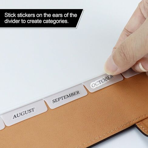 فواصل مجلد فهرسة بلاستيكية ذات 3 فتحات باللون الوردي من Buqoo مع 8 علامات تبويب فواصل فهرسة قابلة للإدراج لملفات حجم الحروف، حزمة من مجموعتين in Kuwait