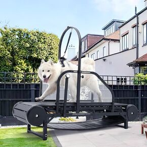 Dog Treadmill, Adjustable Ramp Canine Running Slatmill Machine, for Large/Medium Dogs, Used Indoor Home Up to 300LBS, with Pedometer, for Exercise & Fit Pet Life and Weight Loss