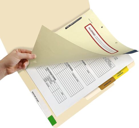 Doctor Stuff - Stock Medical Chart Dividers, 400 Sets of 4 Popular Healthcare Index Tabs, Side Tab, 9" x 11", File Folder Organizer for Nursing Patient Charts and Medical Records in Saudi Arabia