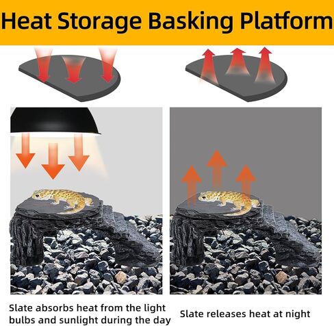Bearded Dragon Basking Platform, Turtle Basking Platform Decorative Reptile Hideout with Rock Slate Plate in Terrarium for Lizard, Leopard, Crested Gecko(Large-Green) in Kuwait
