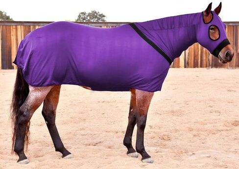 Fitted Full Body Lycra Slinky in Saudi Arabia