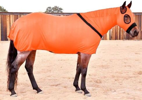 مجهز كامل الجسم lycra slinky in Kuwait