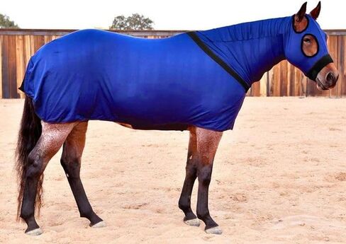 Fitted Full Body Lycra Slinky in Saudi Arabia