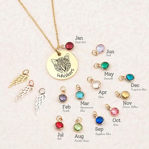 Anavia Personalized Pet Portrait Necklace, 12 Month of Birthstone Charm Options, Handmade Photo Custom Pet Memorial Jewelry Gift for Women, Round Disc Coin Necklace for Dog Cat Lovers in Saudi Arabia