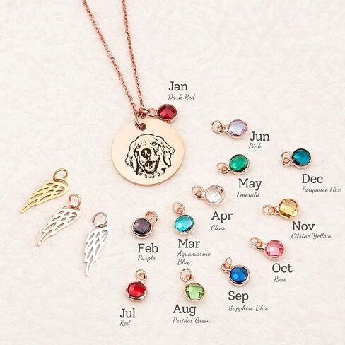 Anavia Personalized Pet Portrait Necklace, 12 Month of Birthstone Charm Options, Handmade Photo Custom Pet Memorial Jewelry Gift for Women, Round Disc Coin Necklace for Dog Cat Lovers in Saudi Arabia