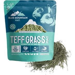 Blue Mountain Hay | Fresh Teff Grass Hay (15 Ounce) | Low NSC, High Fiber, Healthy Weight Management | High-Altitude Hay Pet Food for Rabbits, Guinea Pigs, Chinchillas, Hamsters, and Other Small Pets
