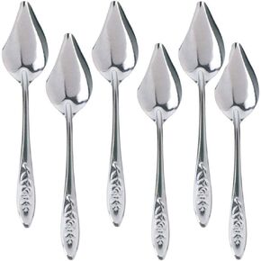 6 Pcs Bird Feeding Spoon Stainless Steel Parrot Milk Spoon for Pet Birds