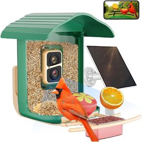 Solar Powered Smart Bird Feeder with Camera, 2K HD, AI Birds ID, WiFi Remote Viewing, Waterproof, Auto Capture & Send Videos, Solar Panel, Ideal for Outdoor Bird Watching & Garden Decor, Green