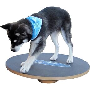 FitPAWS 20" Wobble Board - Dog Balance Training Equipment for Core Strength & Stability | Canine Fitness & Rehabilitation Tool