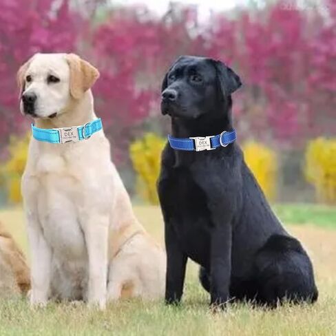 Personalized Adjustable Dog Collar with Metal Buckle,Laser Engraved On The Metal Buckle,Custom Reflective Nylon Quick Release Dog Collar for Small,Medium and Large Dogs. in Saudi Arabia