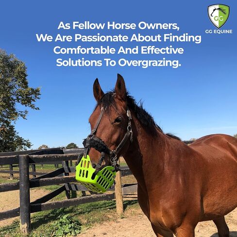GG Equine Grazing Muzzle for Horse - Lighter, Durable Horse Accessories - Comfortable Horses Muzzle with Proper Airflow & Natural Grazing Behavior Design in Saudi Arabia