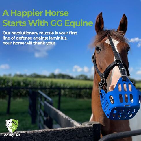 GG Equine Grazing Muzzle for Horse - Lighter, Durable Horse Accessories - Comfortable Horses Muzzle with Proper Airflow & Natural Grazing Behavior Design in Saudi Arabia