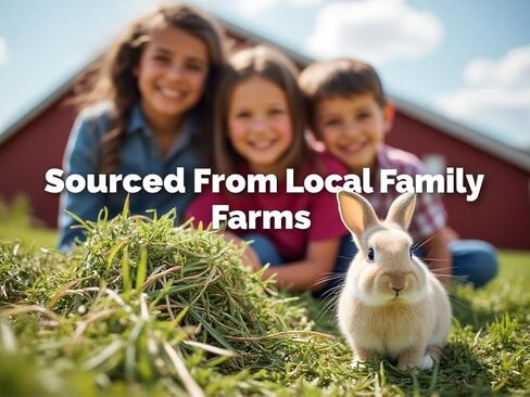 Blue Mountain Hay | Fresh Timothy Hay (15 Ounce) | Great for All Ages | High-Altitude Hay Pet Food for Rabbits, Guinea Pigs, Chinchillas, Hamsters, and Other Small Pets in Kuwait