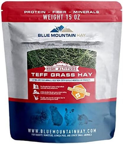 القش الجبل الأزرق | طازجة Teff Grass Hay (15 أونصة) | منخفض NSC ، ألياف عالية ، إدارة الوزن الصحي | غذاء الحيوانات الأليفة على ارتفاع عالية للأرانب وخنازير غينيا والشينشيلات والهامستر والحيوانات الأليفة الصغيرة الأخرى in Kuwait