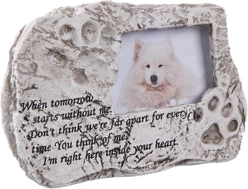 3 × 4 إطار صورة ، إطار تذكاري للكلاب ، باو تصميم طباعة باو ، إطار صورة للحيوانات الأليفة للكلاب التذكارية ، إطار منحوت يدويًا مع دعم مخملي ، وقف ، خطاف الجدار ، أفضل هدية التعاطف in Kuwait