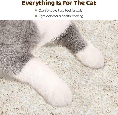 فضلات القط القوي غير القصوى ، والتحكم في الرائحة النباتية Tofu Cat Sterter + الفضلات المختلطة الكاسافا ، والغبار المنخفض السهل الغبار ، واللون الفاتح للتتبع الصحي ، والتعقب المنخفض ، 9 رطل ، in Kuwait
