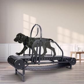 Dog Treadmill for Large Medium Dogs,Adjustable Ramp Canine Running Slatmill Machine with Pedometer for Exercise & Healthy, Dog Slatmill for up to 500 lbs(Black)