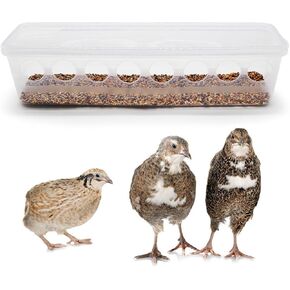 Button Quail Transparent Feeder Flip Top Seed Food Container (8 Holes)