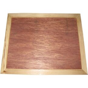 Raised-Line Drawing Board