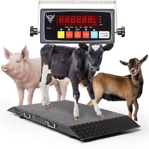 Medium Livestock Scale/Farm Animal Weighing Equipment, Capacity 2000 x 0.2 lb for Sheep, Goat, Alpaca, Pig, etc. Platform 50"x25"