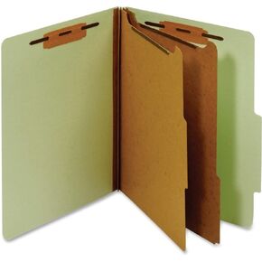 Pendaflex Classification Folder, Letter Size, 2 Divider, 1-Inch Fastener, Green, One Folder (PU61 GRE)