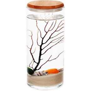AquaLeaf Aquatics Live Shrimp Ecosystem Kit - Low Maintenance and Humane