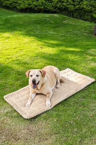 Backseat Pet Bed Mat for Car, Non-Slip Dog Car Seat Cover with Scratch-Proof Protection, Back Seat Extender for Dogs Compatible, Universal Fit for Cars SUVs Trucks (24.8x54 inch) in Saudi Arabia